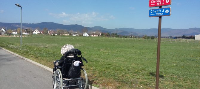 Handi-activités : Idées de sorties pour PMR